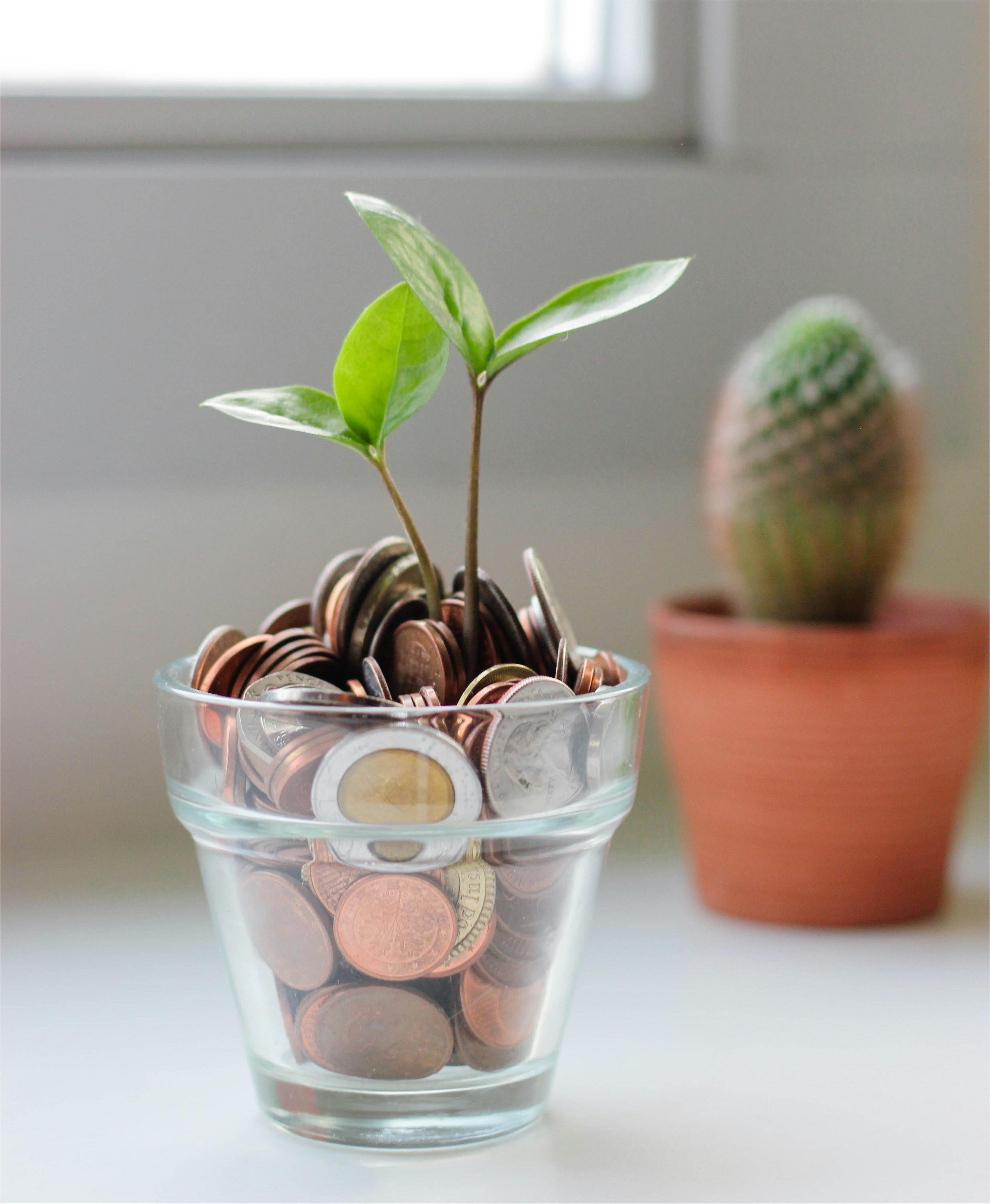 Prospera FinTech